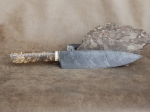 Brązowy Nóż Szefa Kuchni- The Brown Chef’s Knife